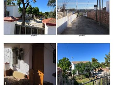 Terrenos y solares en venta en Alcover