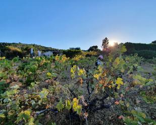 Jardí de Finca rústica en venda en Malpartida de Plasencia