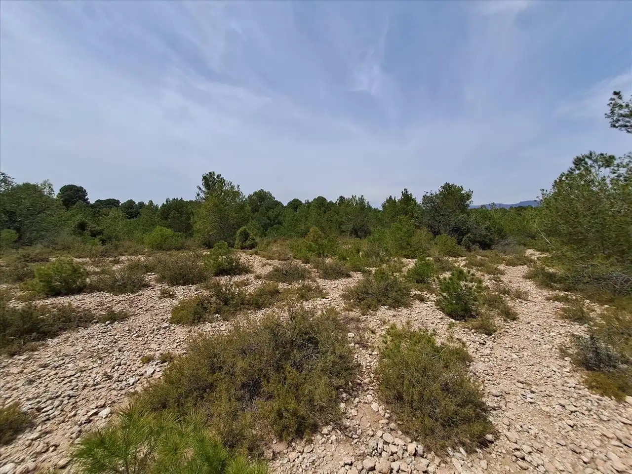 Terreno residenziale in vendita a Poligono N-30.R, 106, imagen 6