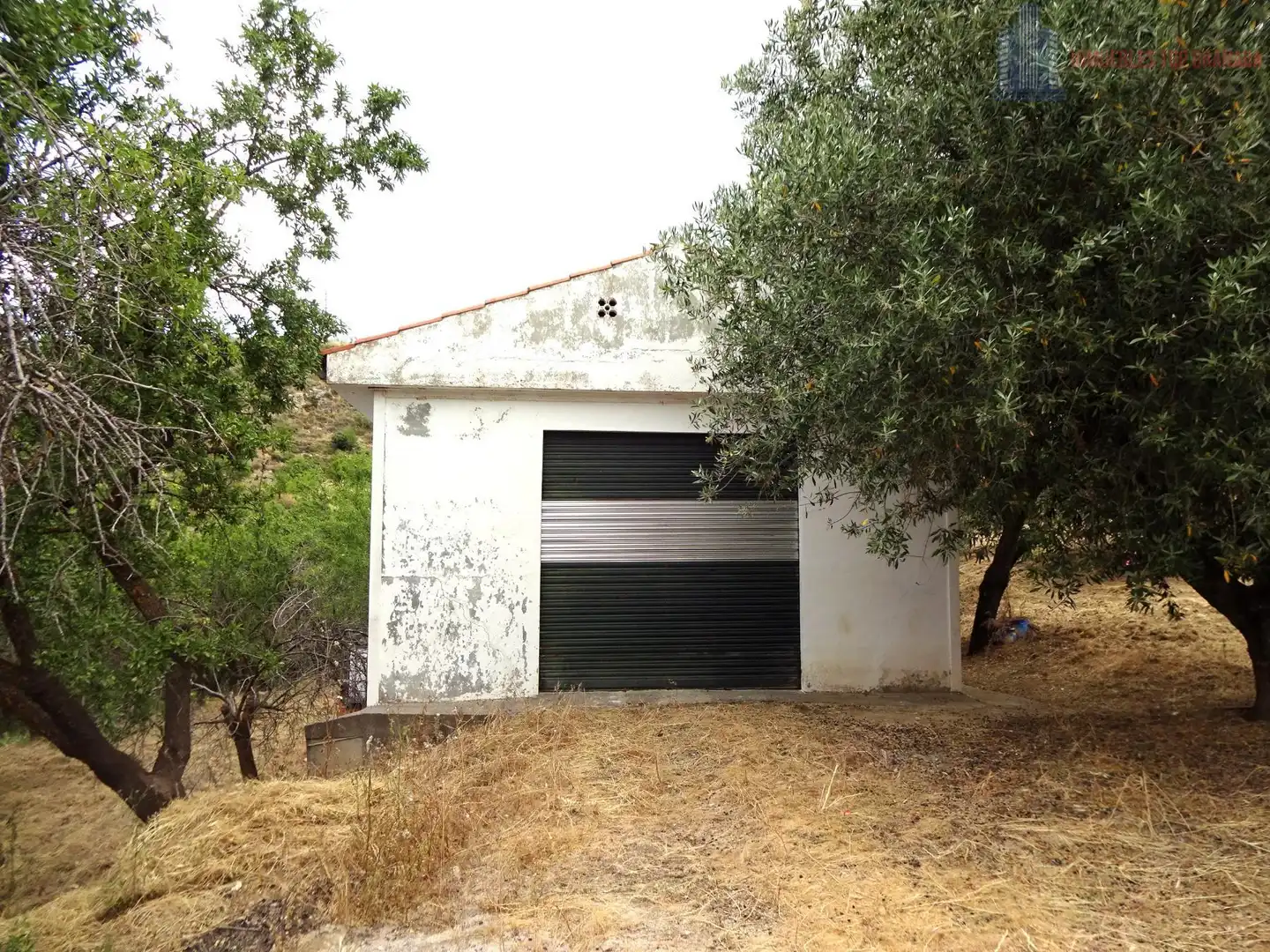 Vista exterior de Finca rústica en venda en Pinos Genil