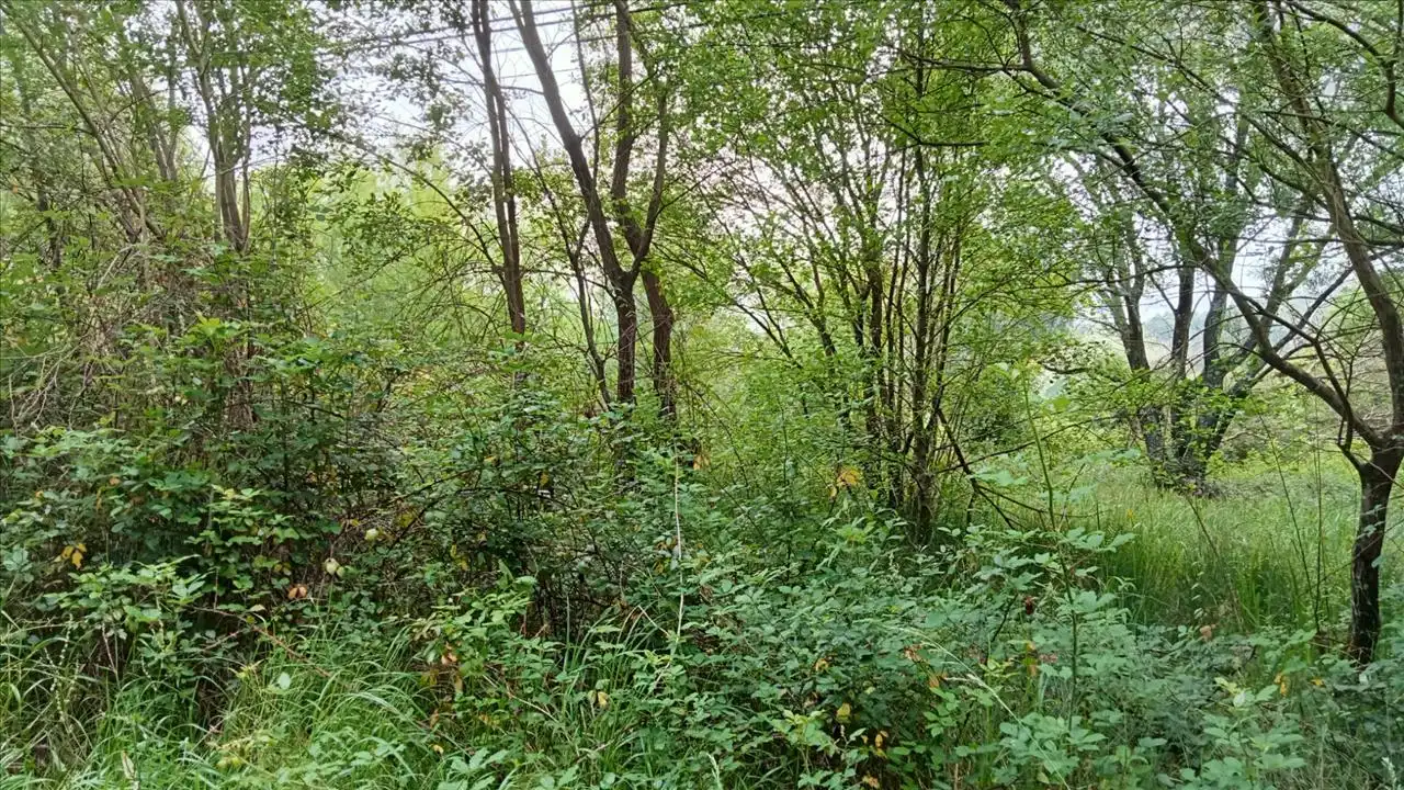 Grundstücke und Bauplätze zum Verkauf in Camposa-Beco, imagen 8