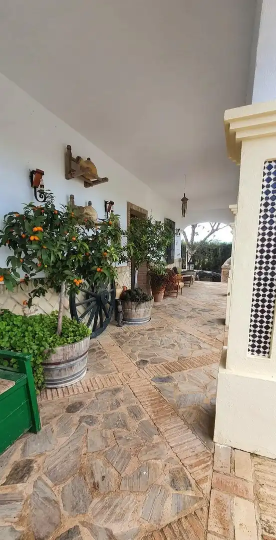 Maison avec piscine à vendre à El Coronil, imagen 9