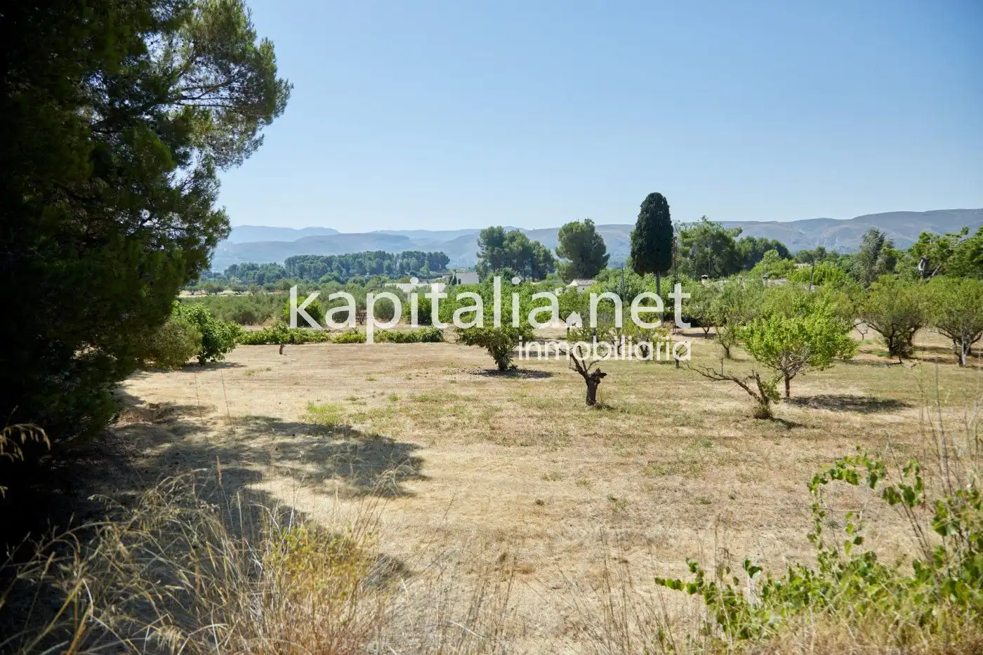 Chalet en venta en El Pilar, imagen 70