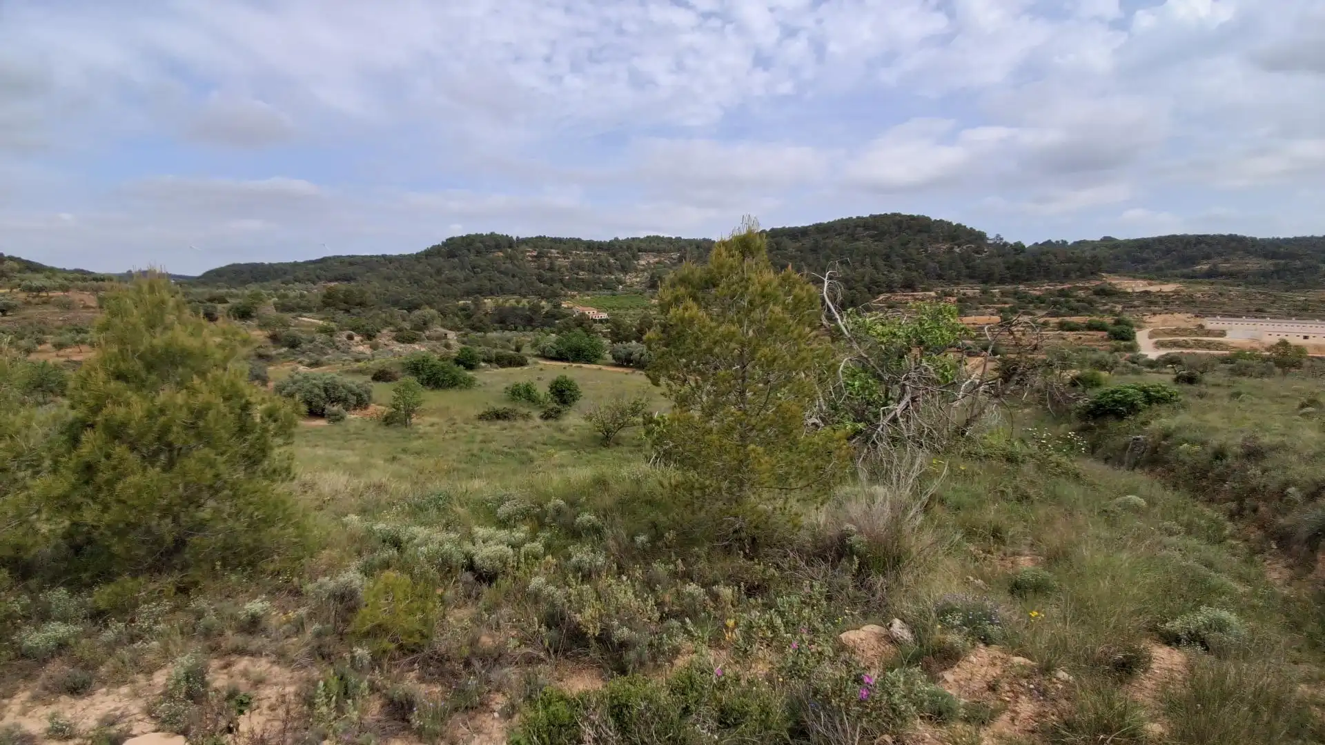 Rural land for sale in Gandesa, imagen 11