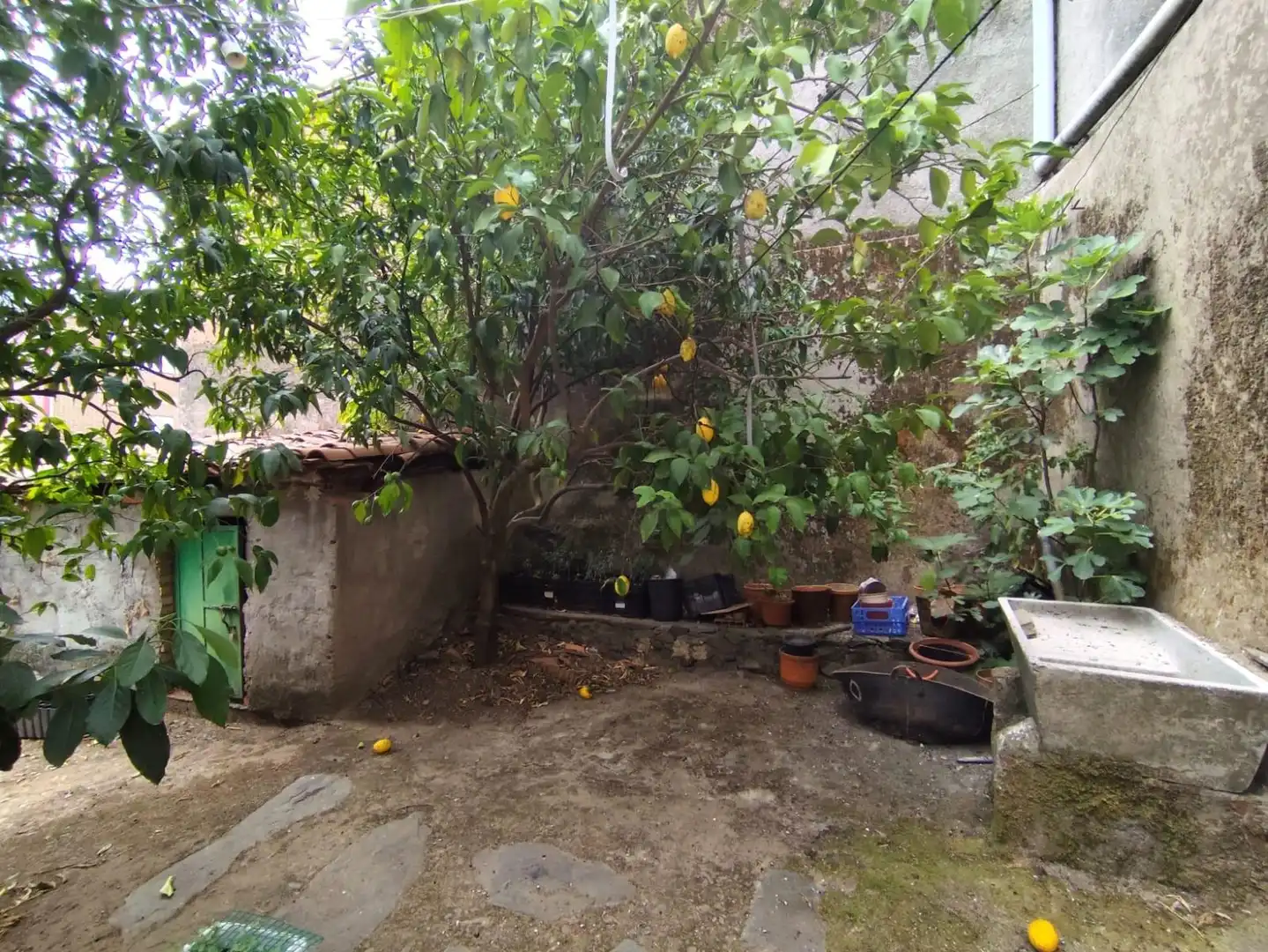 Jardín de Casa o chalet en venta en Casar de Palomero con Jardín privado y Terraza