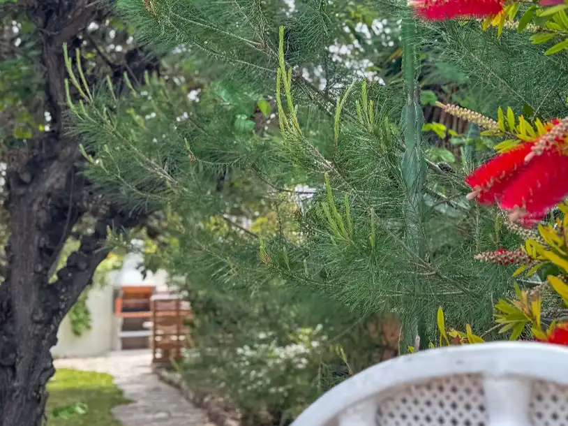 Garden of Houses for rent in Regueral - Prat d'en Forés