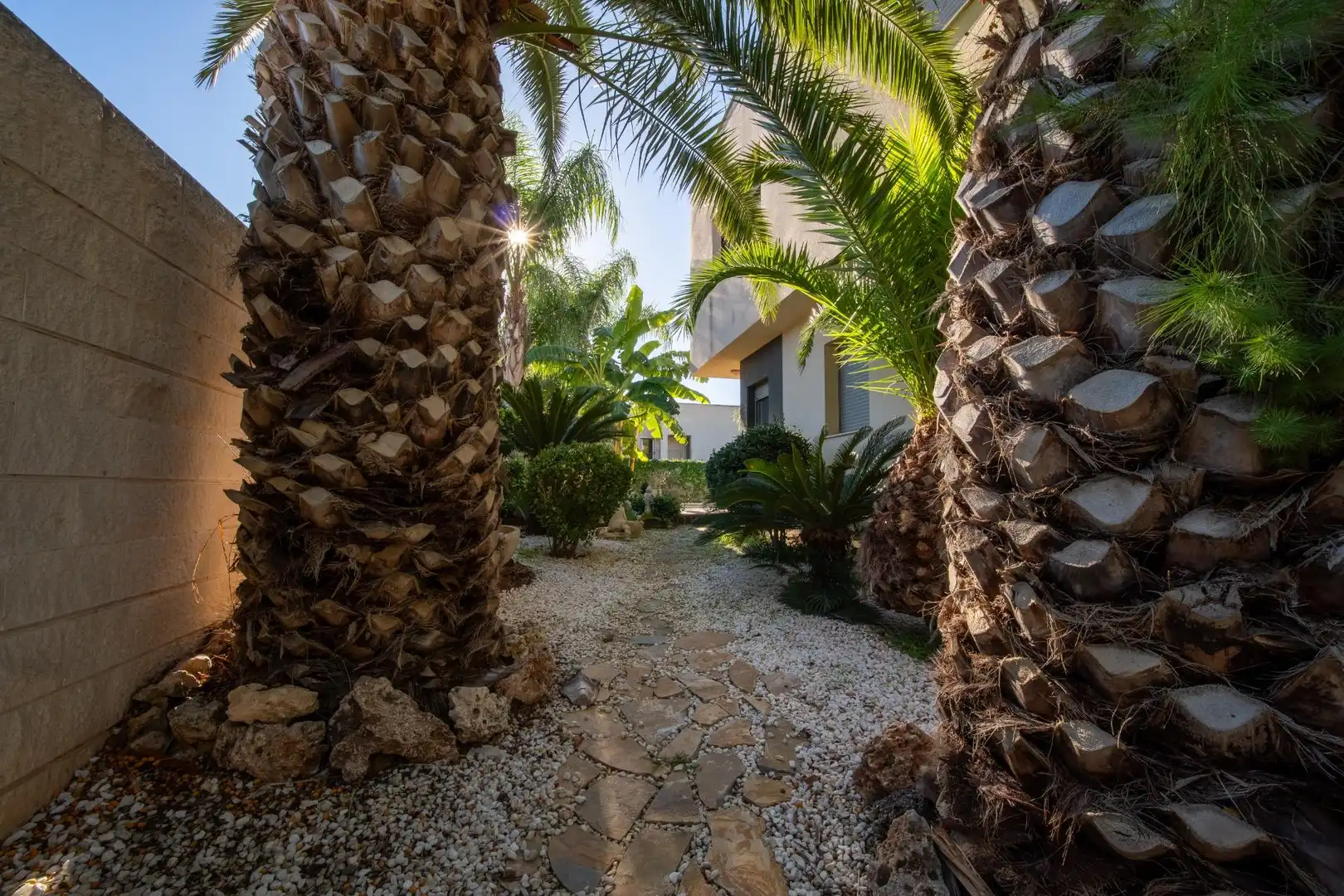 Jardí de Casa o xalet en venda en El Carme - Sant Agustí - Bonavista