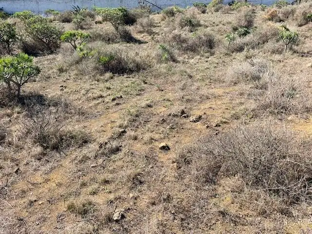 Land for sale in Telde