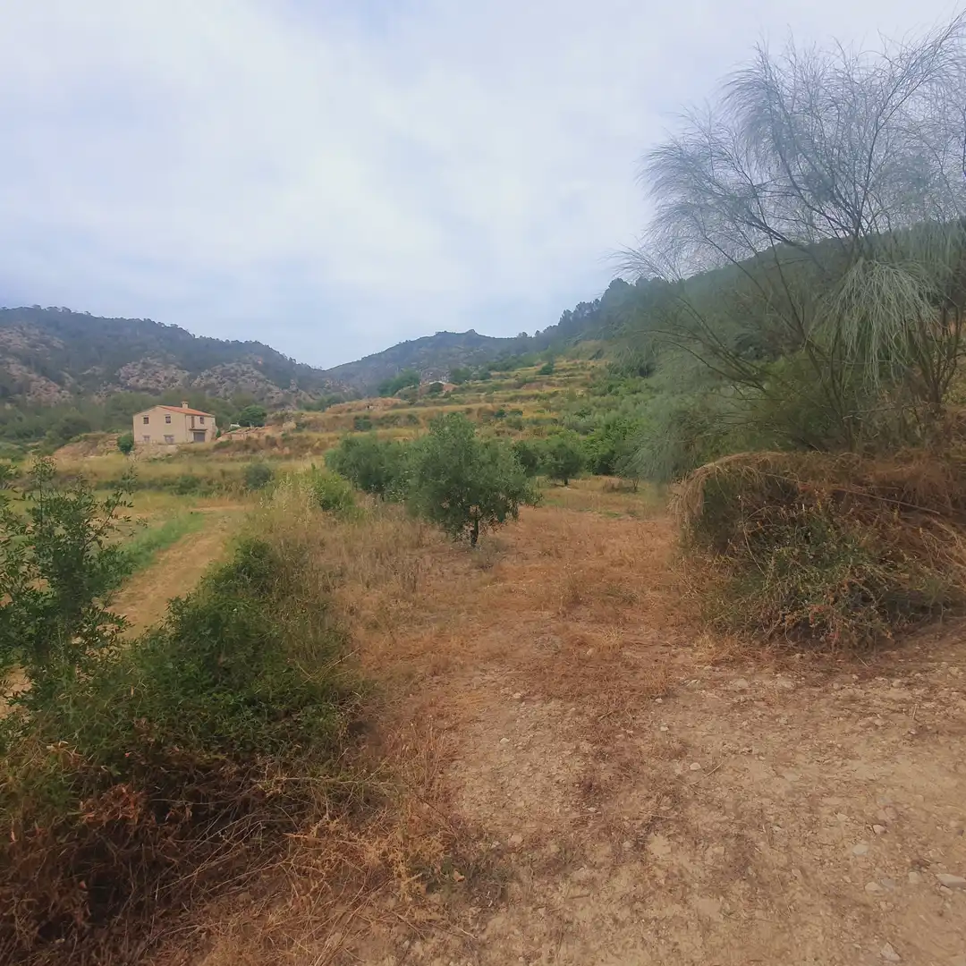 Terreno rústico en venta en Benifallet, imagen 8