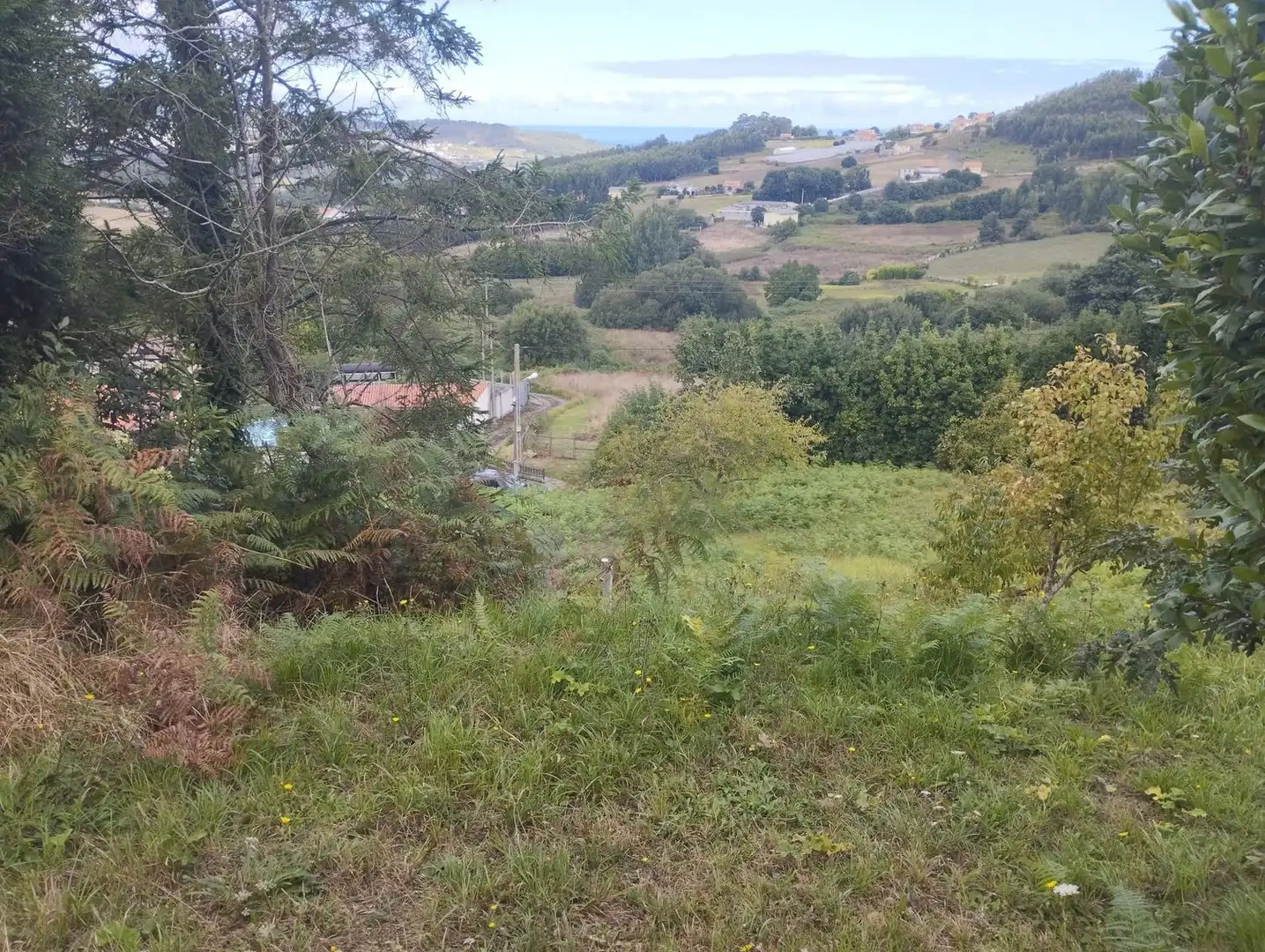 Terrain rustique à vendre à Camino Lugar, imagen 5
