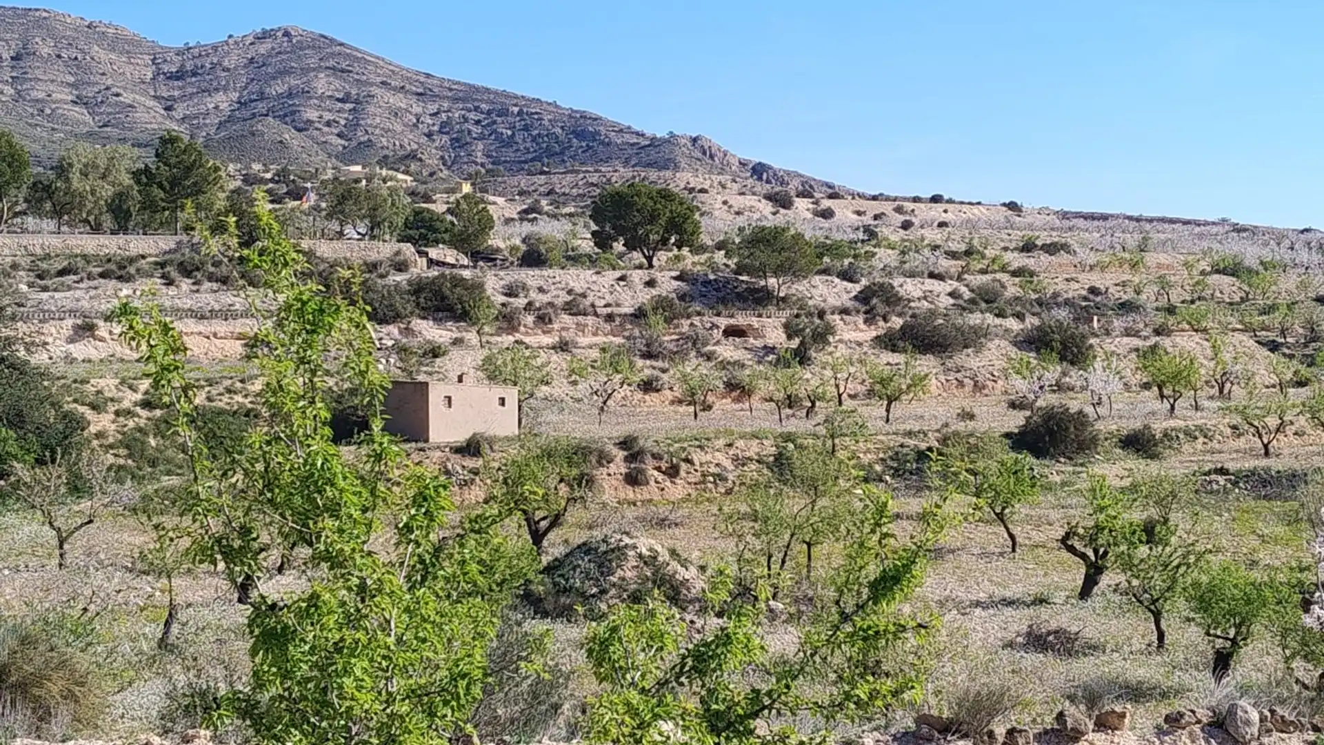 Terreno en venta en Novelda