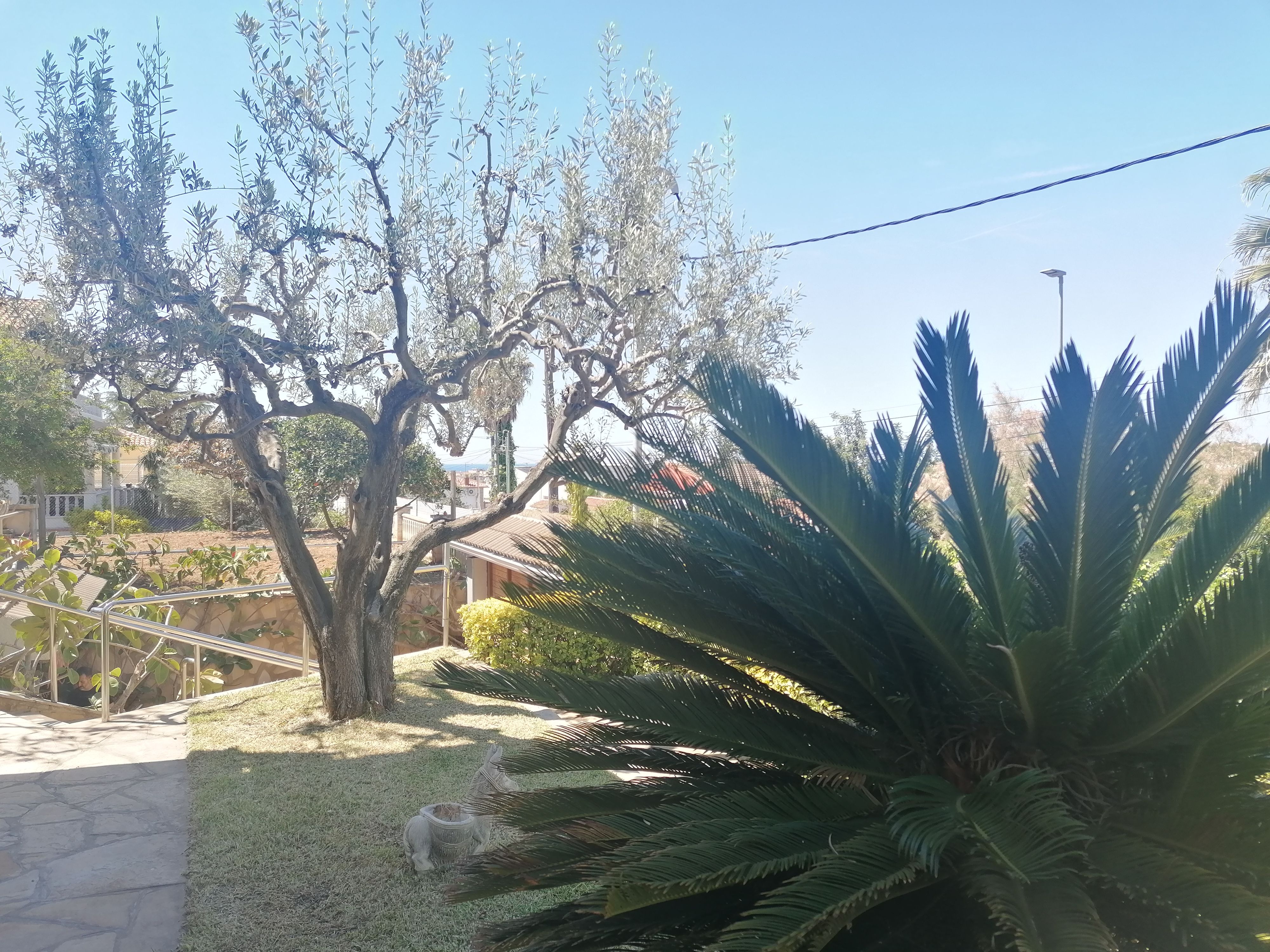 Garden of House or chalet for sale in Cubelles  with Heating, Private garden and Furnished