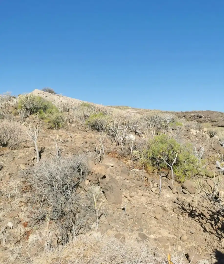 Rural land for sale in Carretera Güimar-Arafo, imagen 2