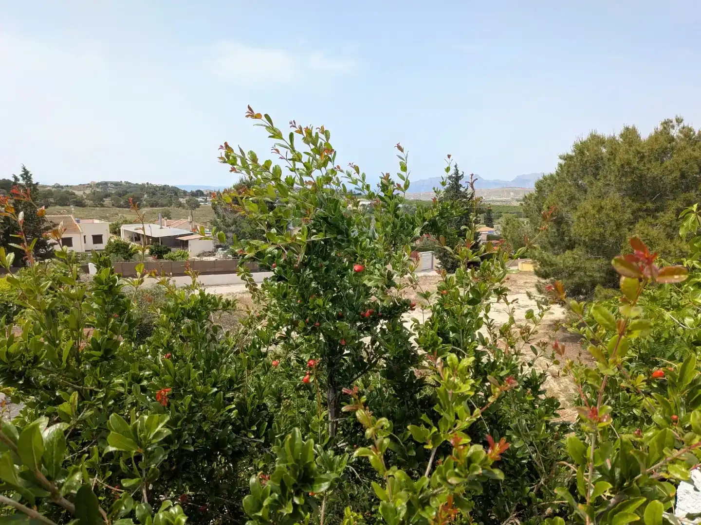 Casa o xalet en venda en  Murcia Capital amb Aire condicionat, Terrassa i Balcó