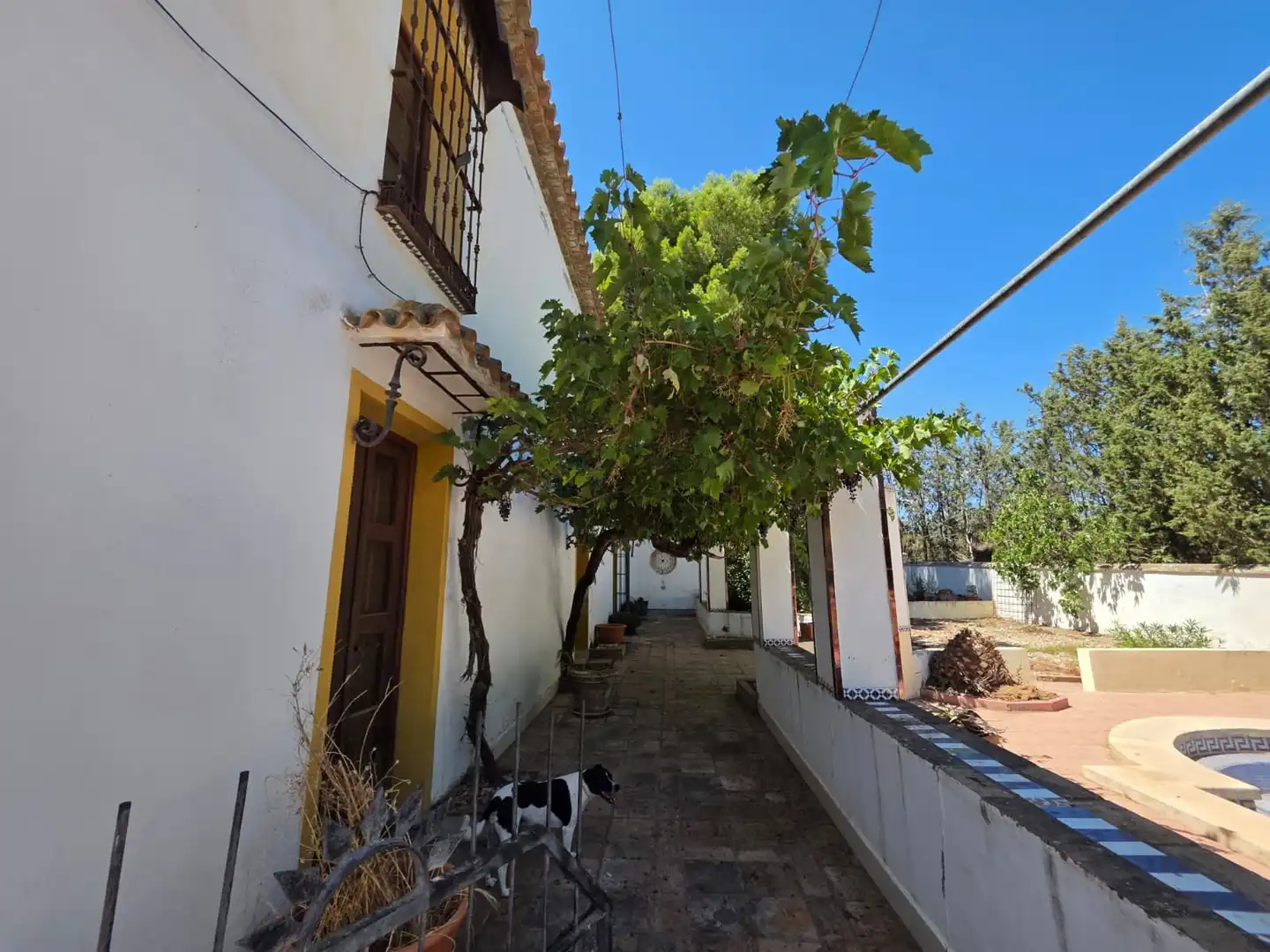 Maison rustique à vendre à Barrio Antequera, imagen 15