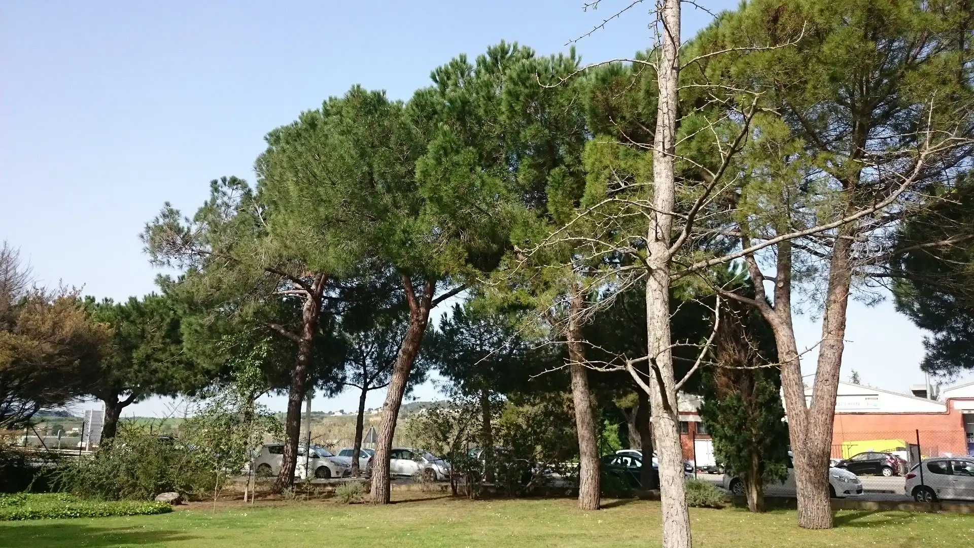 Jardín de Oficina de alquiler en Rubí con Aire acondicionado y Calefacción