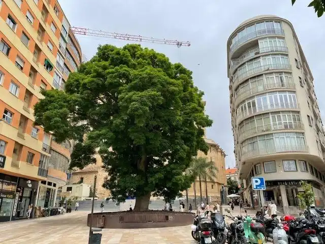 Vista exterior de Garatge en venda en Málaga