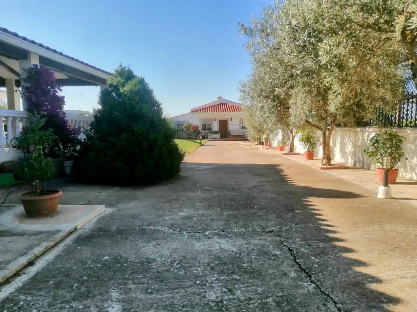 Vista exterior de Casa o chalet en venta en Torrecillas de la Tiesa, Cáceres