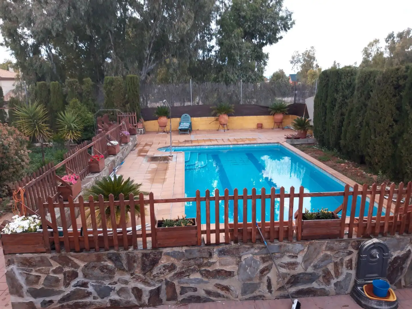 Piscina de Casa o xalet en venda en Linares amb Aire condicionat, Calefacció i Jardí privat