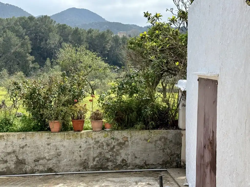Jardí de Casa o xalet en venda en Sant Josep de sa Talaia