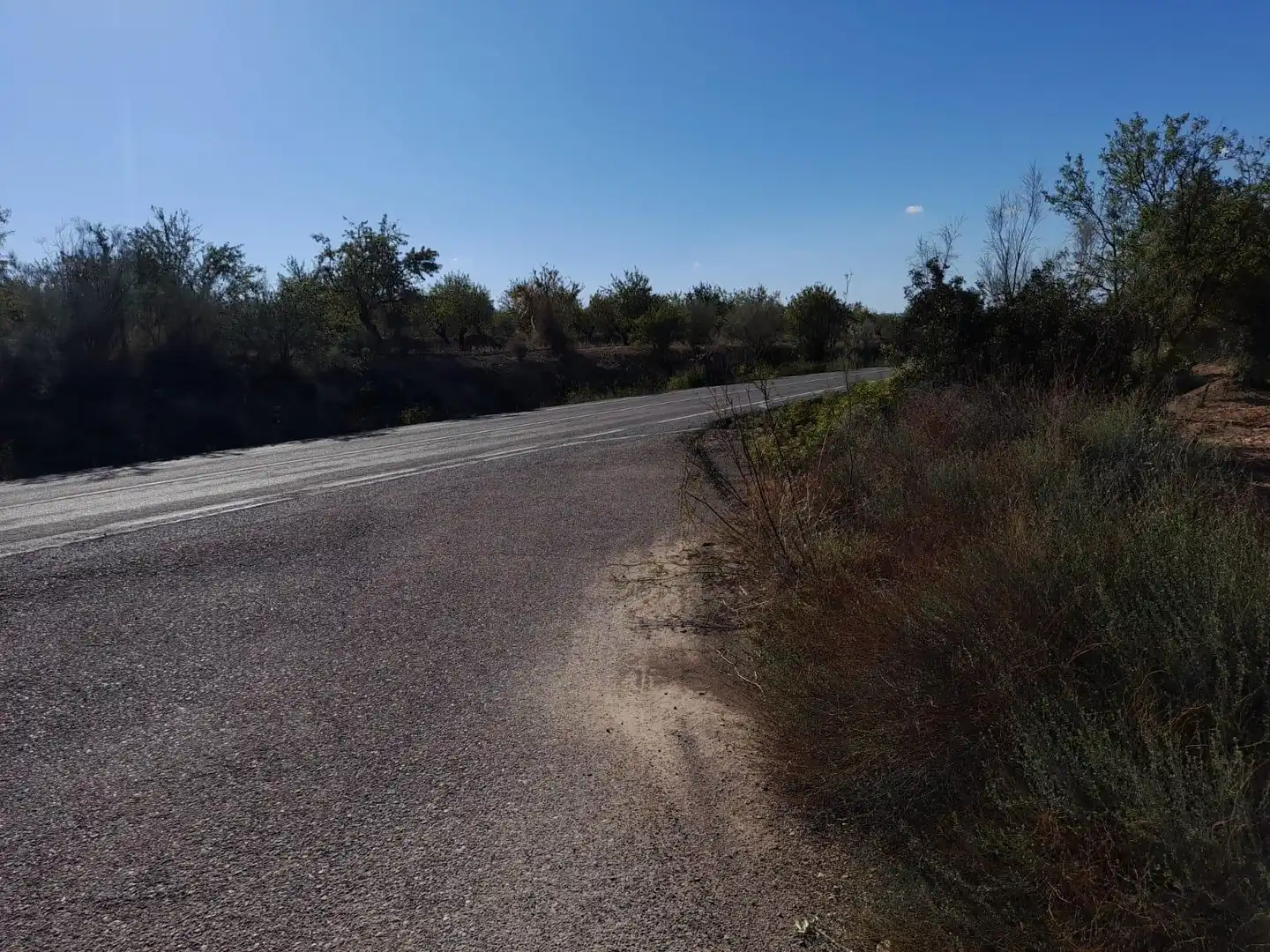 Casa o xalet en venda en Flix amb Jardí privat, Terrassa i Traster