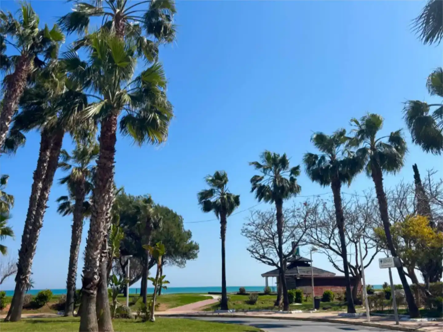 Vista exterior de Pis en venda en Oropesa del Mar / Orpesa amb Aire condicionat, Jardí privat i Piscina