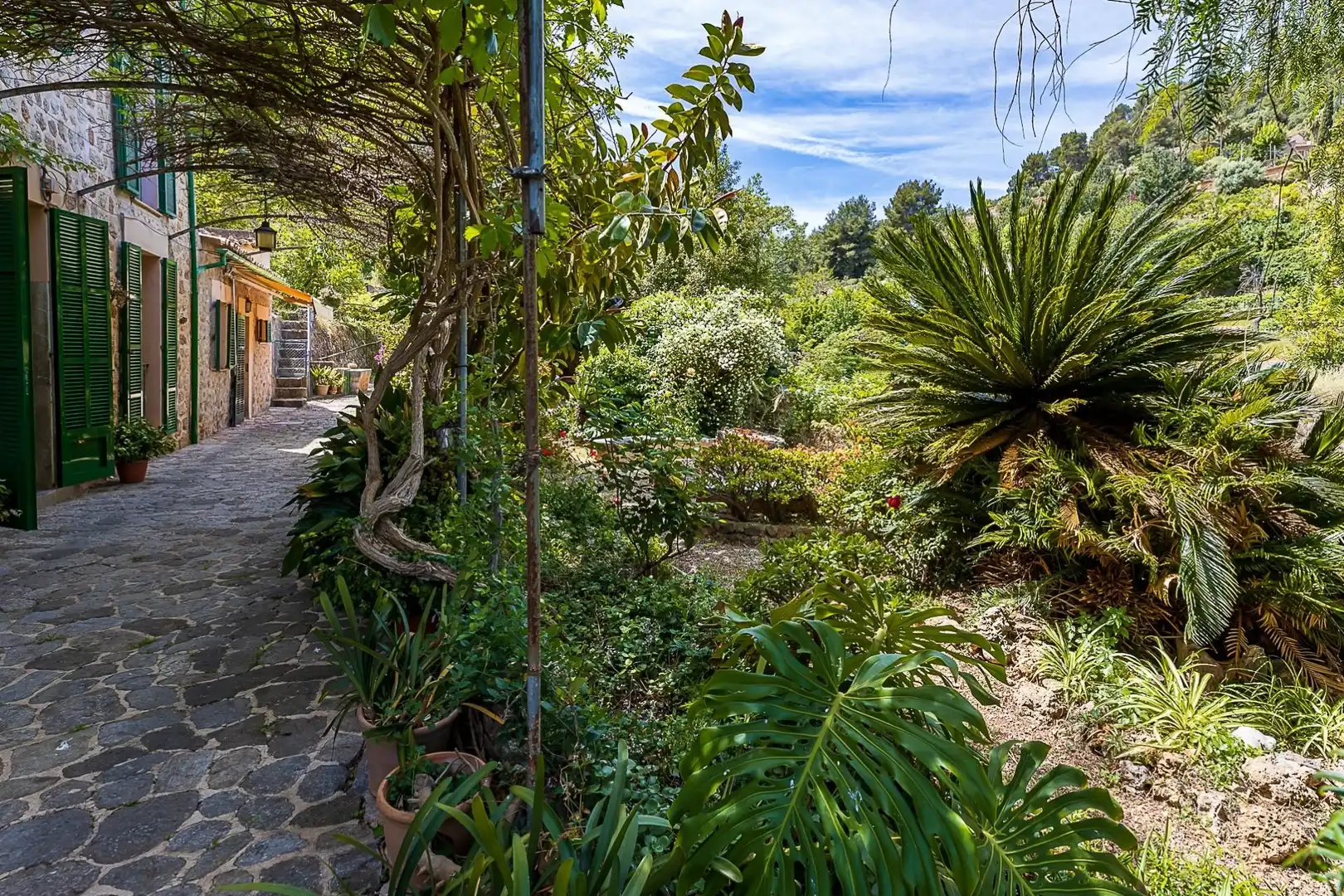 Jardí de Finca rústica en venda en Sóller amb Terrassa