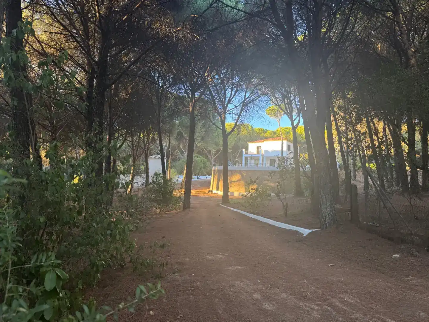 Vista exterior de Apartament en venda en Andújar amb Aire condicionat, Terrassa i Piscina