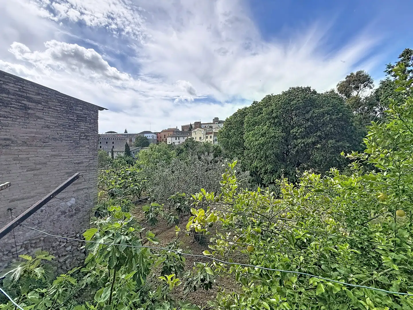 Finca rústica en venda en Sant Pere de Riudebitlles amb Calefacció i Terrassa