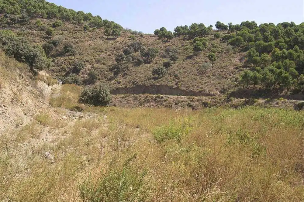 Terreno rústico en venta en Sedella, imagen 5