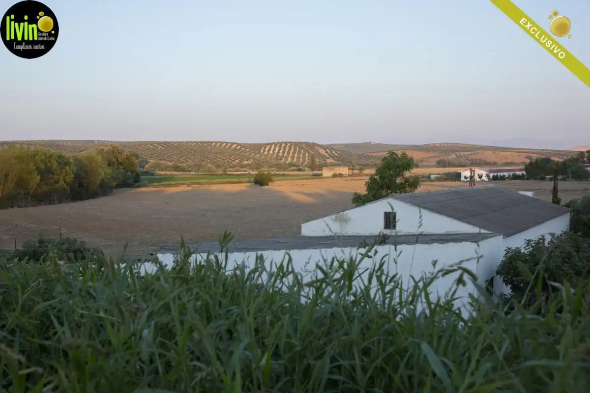 Jardí de Casa o xalet en venda en Puente Tablas - Puente Nuevo - Cerro Molina