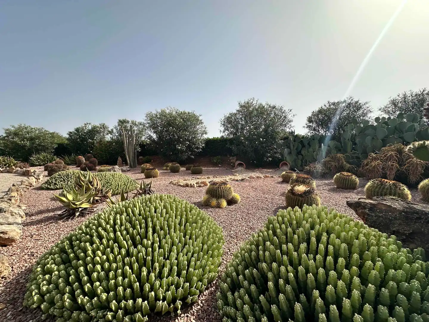 Jardí de Finca rústica en venda en Ses Salines amb Aire condicionat, Calefacció i Terrassa