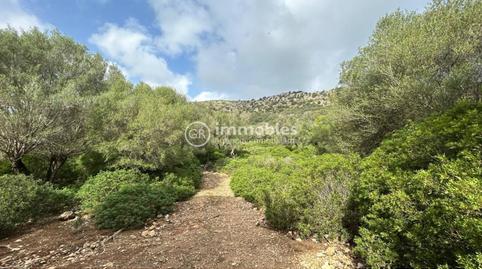 Foto 5 de Residencial en venda a Ciutat d'Alcúdia, Alcúdia