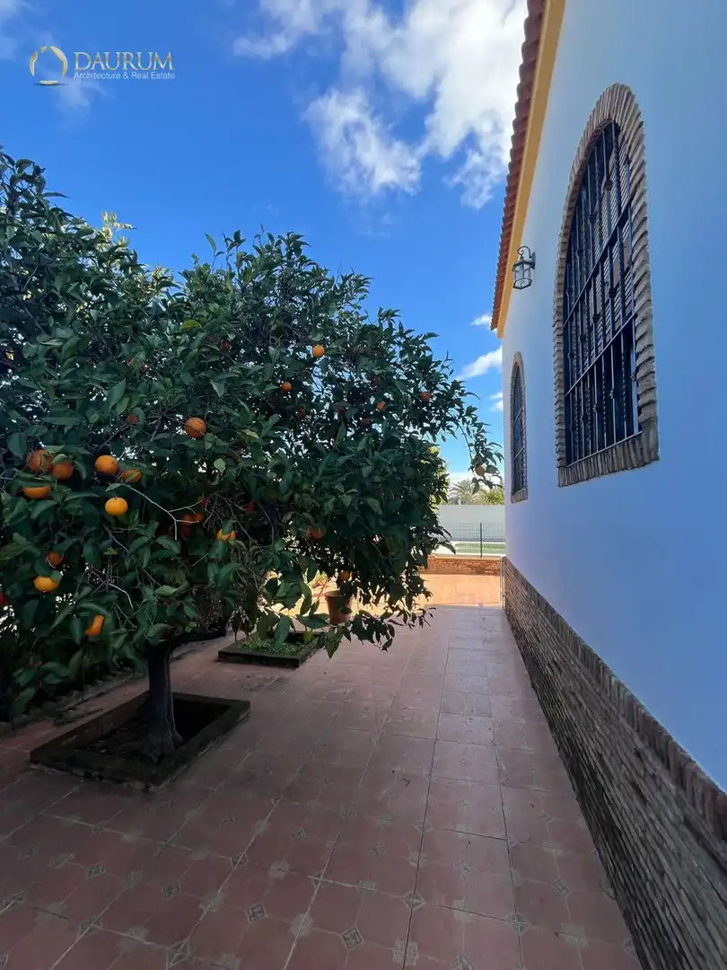 Casa con piscina en venta en URBANIZACIÓN NUESTRA SEÑORA DE LA SALUD, 44, imagen 5