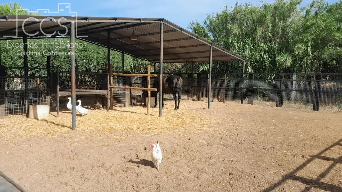 Casa rústica amb jardí en venda a Almonte ciudad, imagen 34