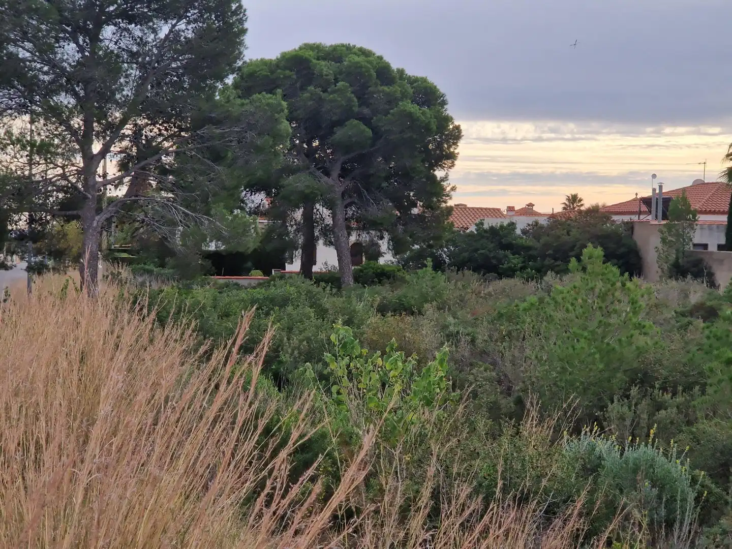 Wohnbaugrundstück zum Verkauf in Miami Platja, imagen 3