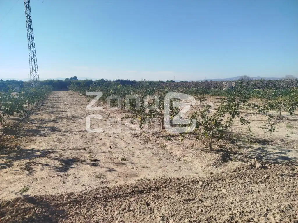 Country house for sale in Algemesí