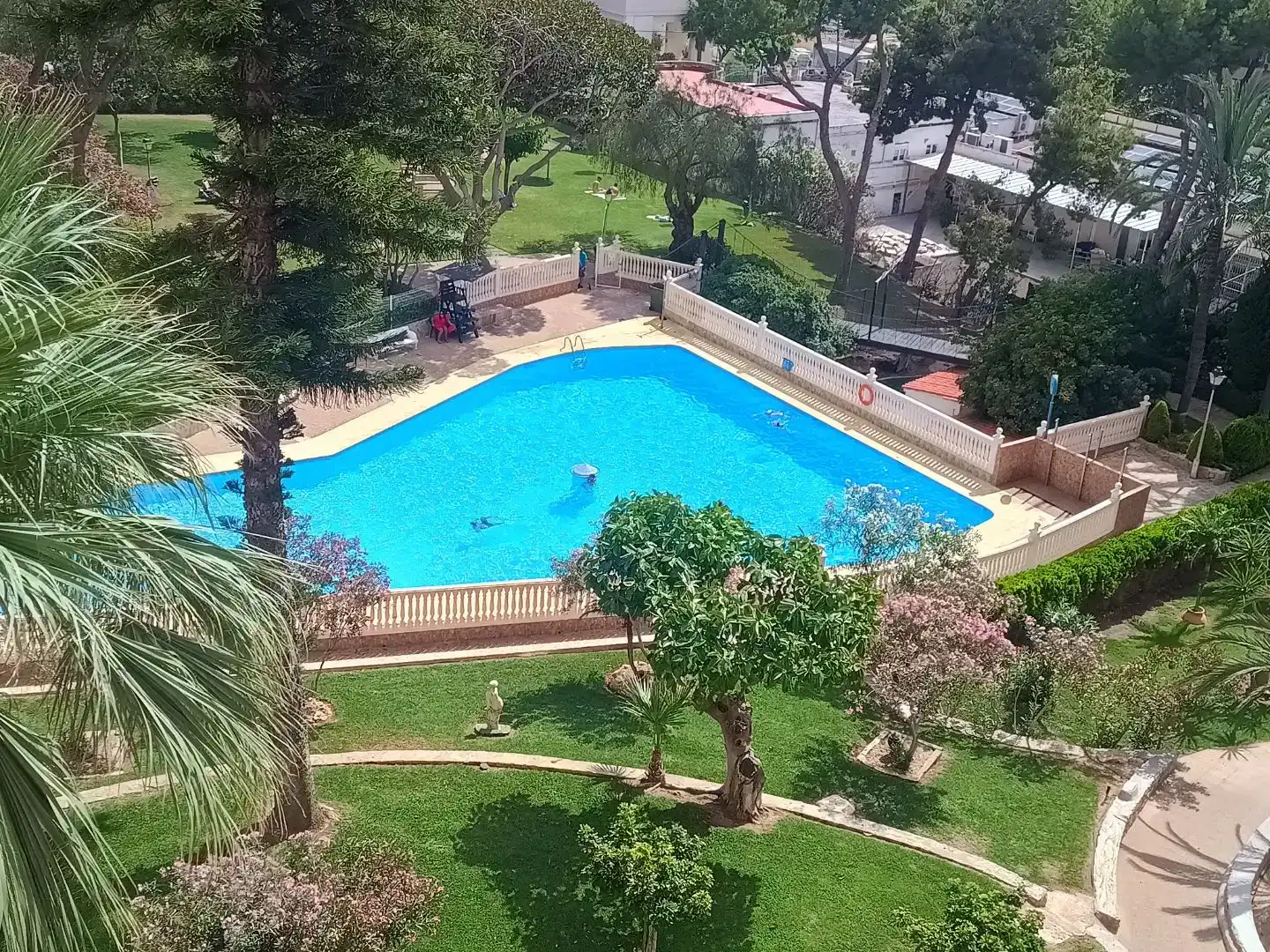Schwimmbecken von Wohnungen zur Miete in Benidorm mit Klimaanlage, Schwimmbad und Balkon