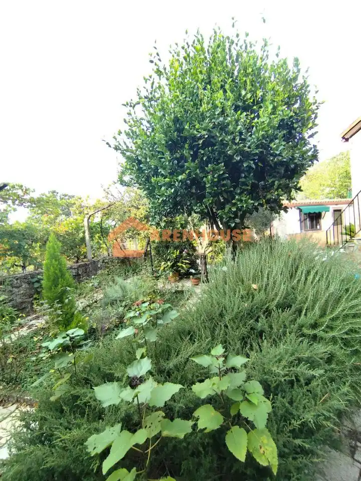 Casa con terrazza in vendita a Cenlle, imagen 41