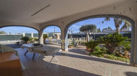 Foto 3 de Finca rústica en venda a Partida la Hoya, La Foia - Daimés - Asprella, Elche / Elx