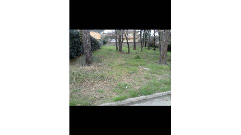 Solar en venta en Sils, immagine 3
