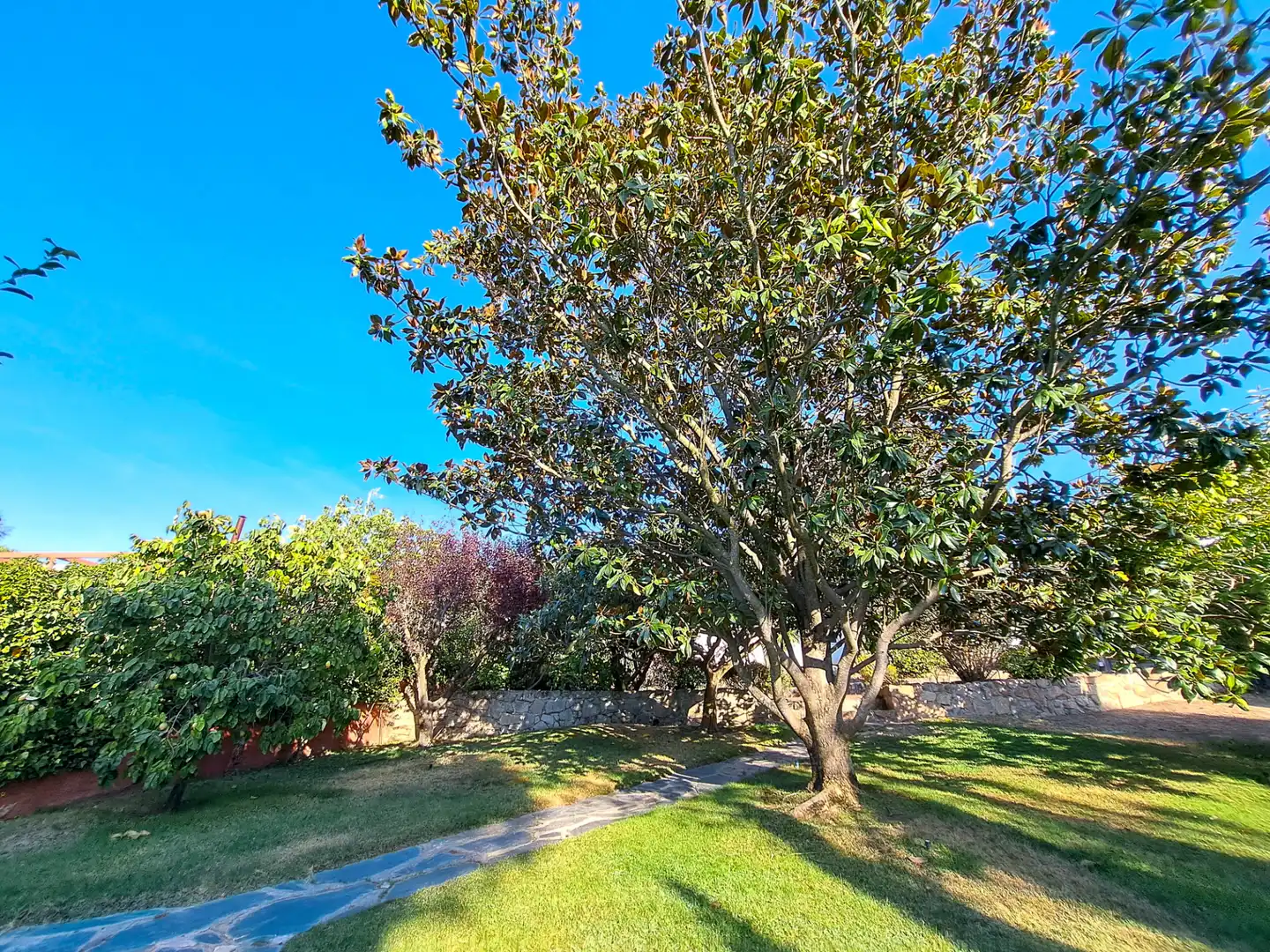 Villa avec jardin à vendre à Colonia, imagen 45