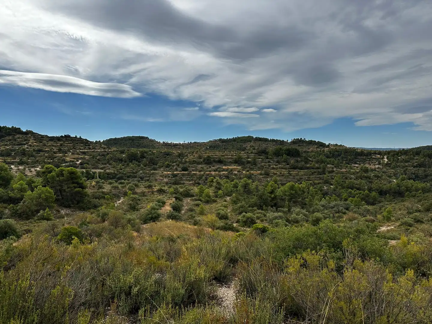 Terreny rústic en venda a Cervià de Les Garrigues, imagen 11