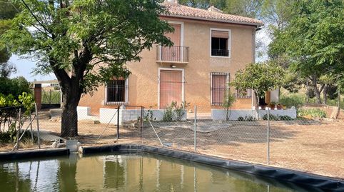 Se vende finca de 6.000 m² con olivares en producción, ideal para quienes buscan un entorno rural con posibilidades agrícolas y ha