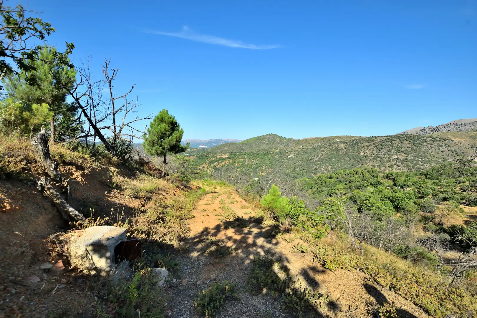 Terreno en venta en Calle Padre Francisco Rodríguez Gallego, 29, Cartajima
