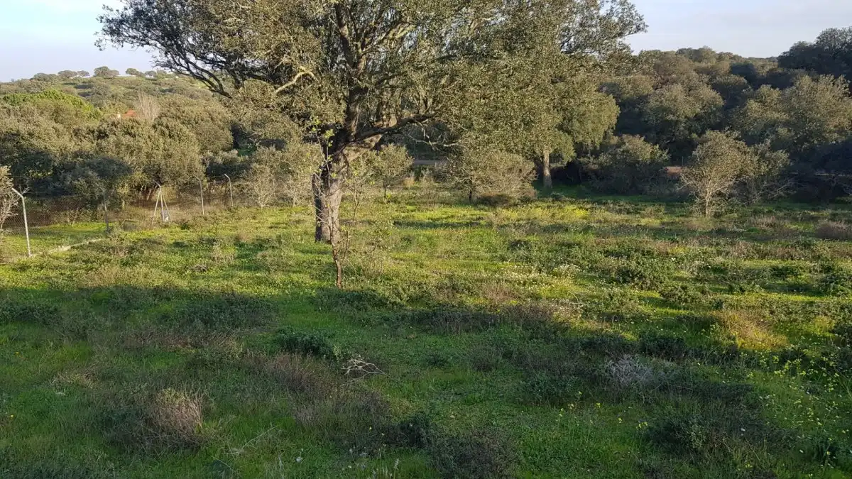 Residencial en venda en Badajoz