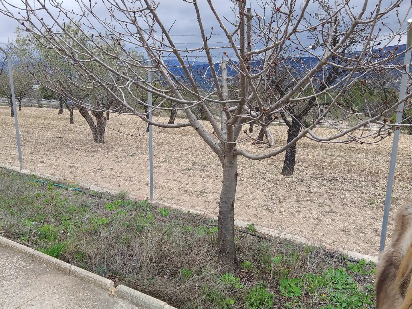 Casa o xalet en venda en Tibi amb Jardí privat, Terrassa i Moblat