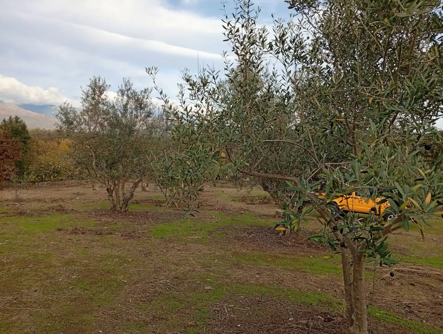 Terreni e lotti in vendita a Villanueva de la Vera, imagen 55