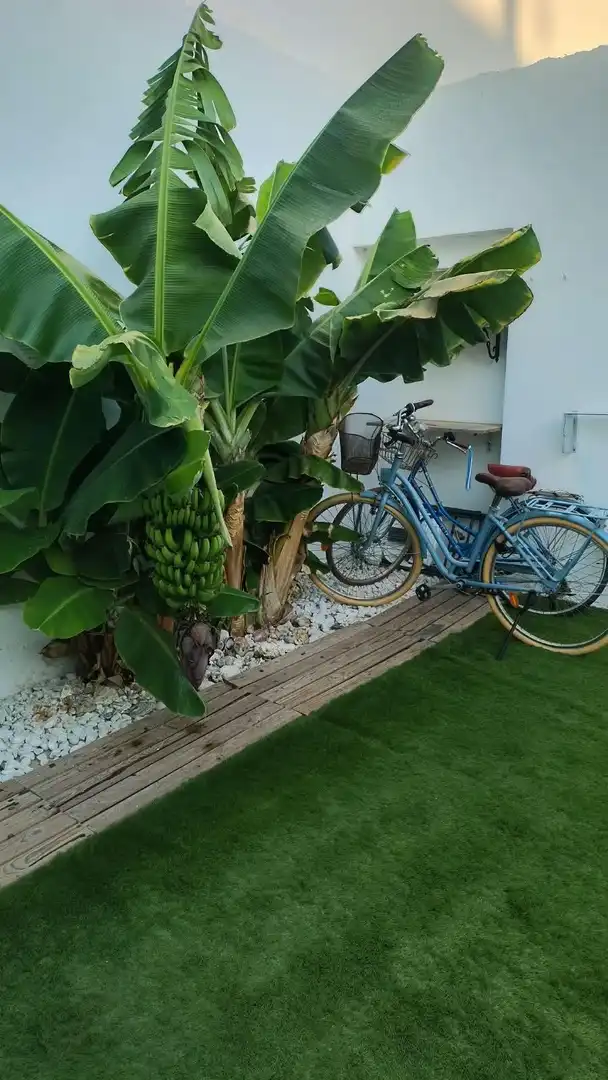 Terraced house with garden for sale in Calle BOQUERON, imagen 31