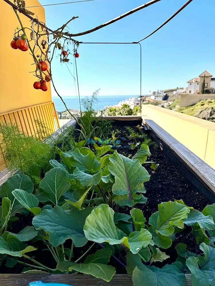 Maison avec piscine à vendre à El Peñoncillo, imagen 12